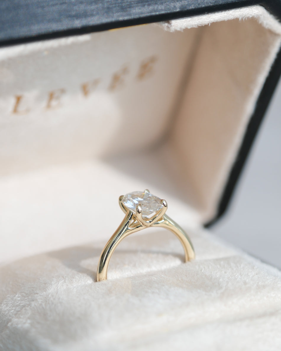 Anillo Halia