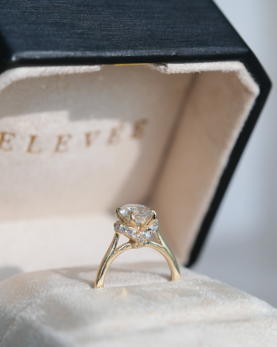 Anillo Helia