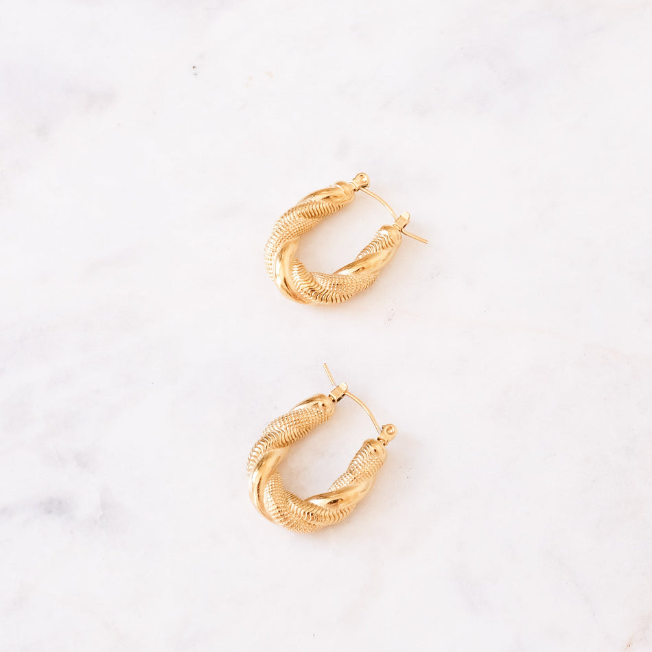 Aretes Dara