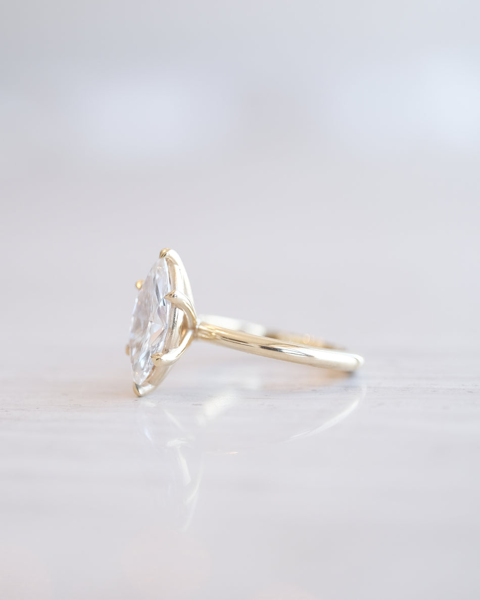 Anillo Tulipán