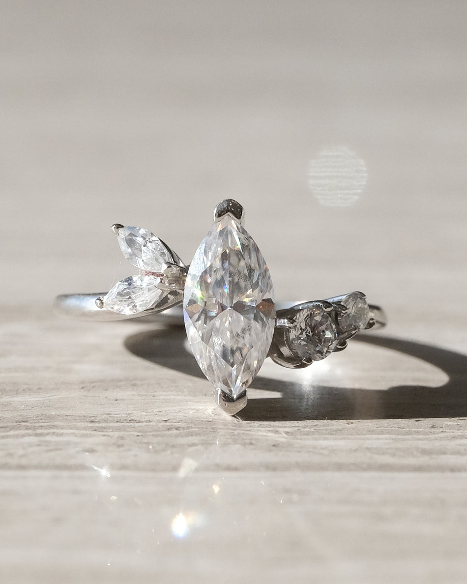 Anillo Anne