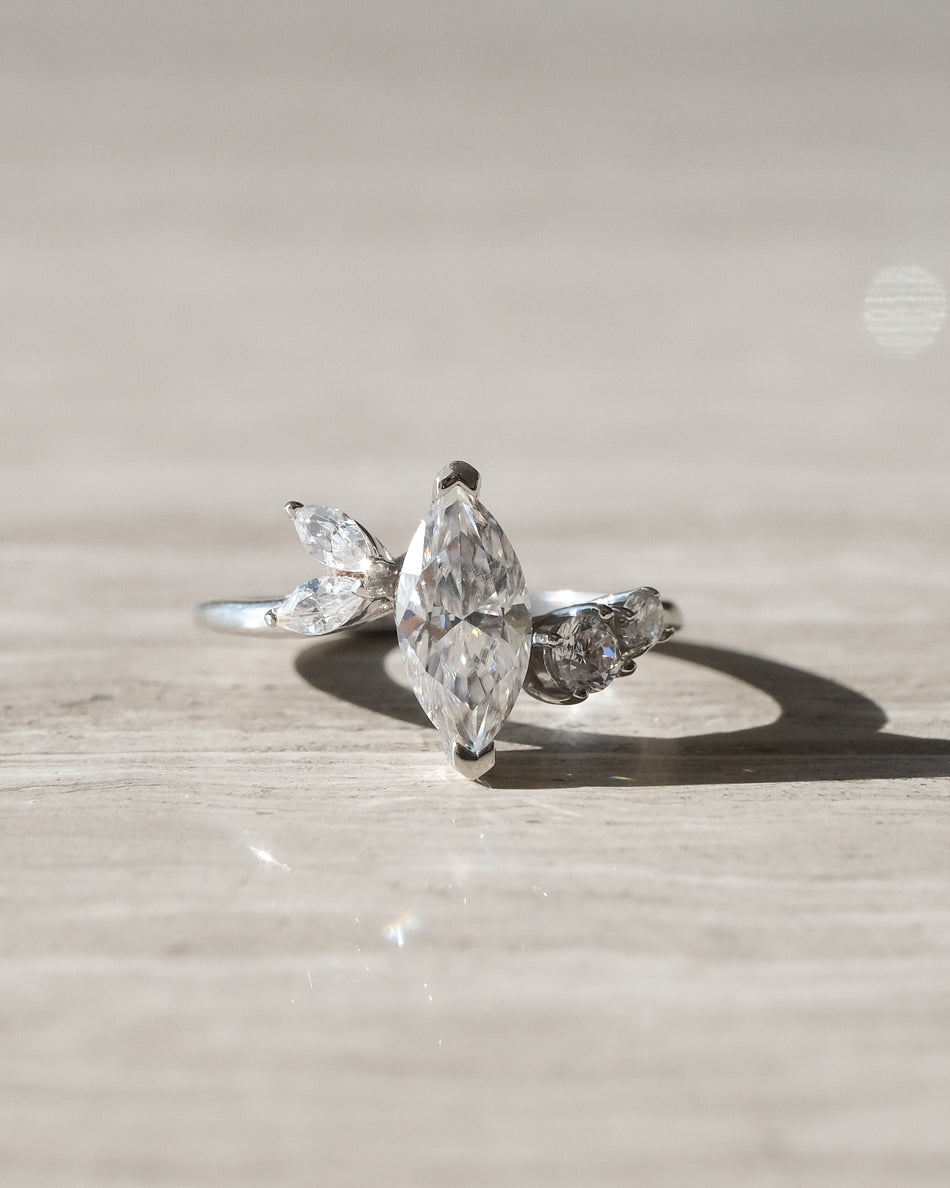 Anillo Anne