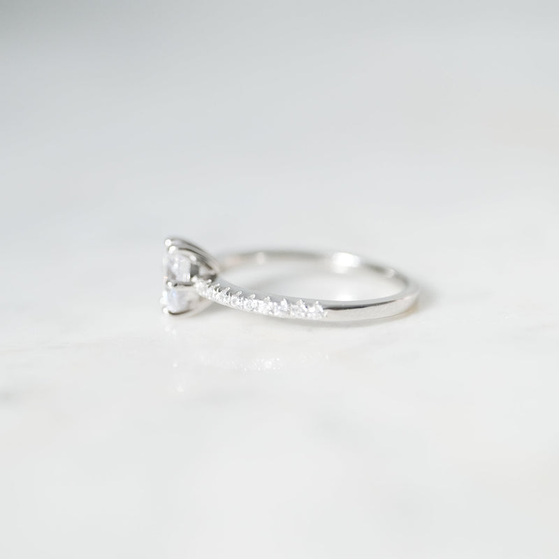 Anillo Delighted Plata