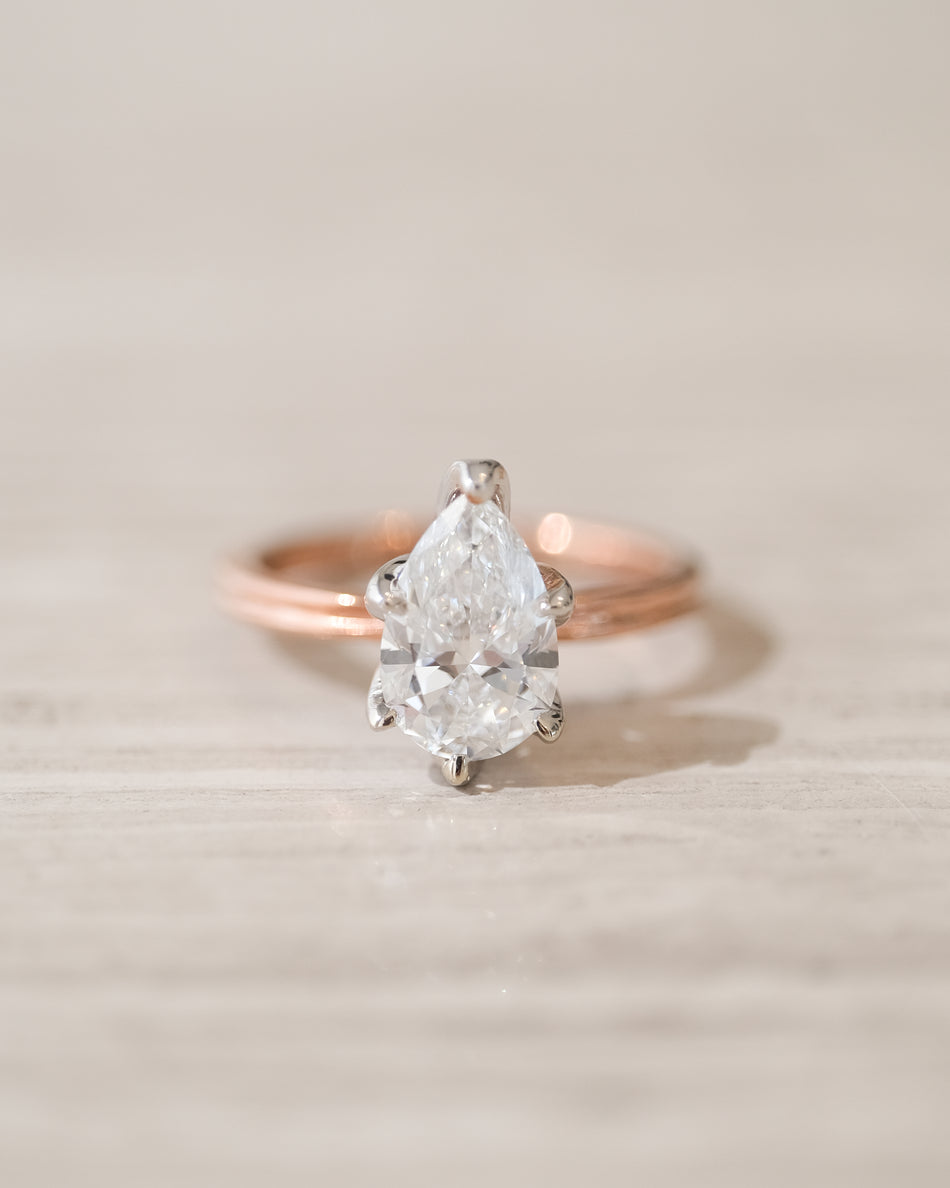 Anillo Elia