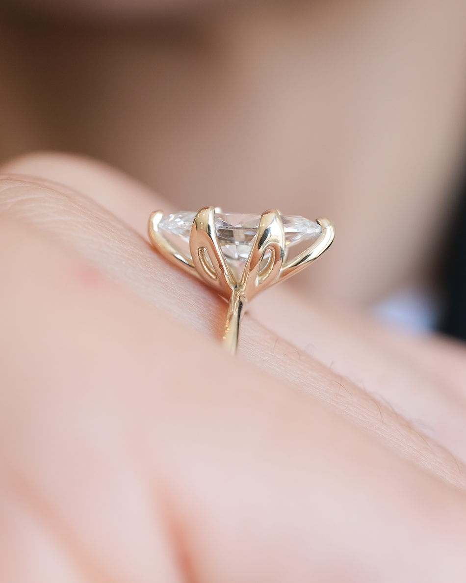 Anillo Bluma