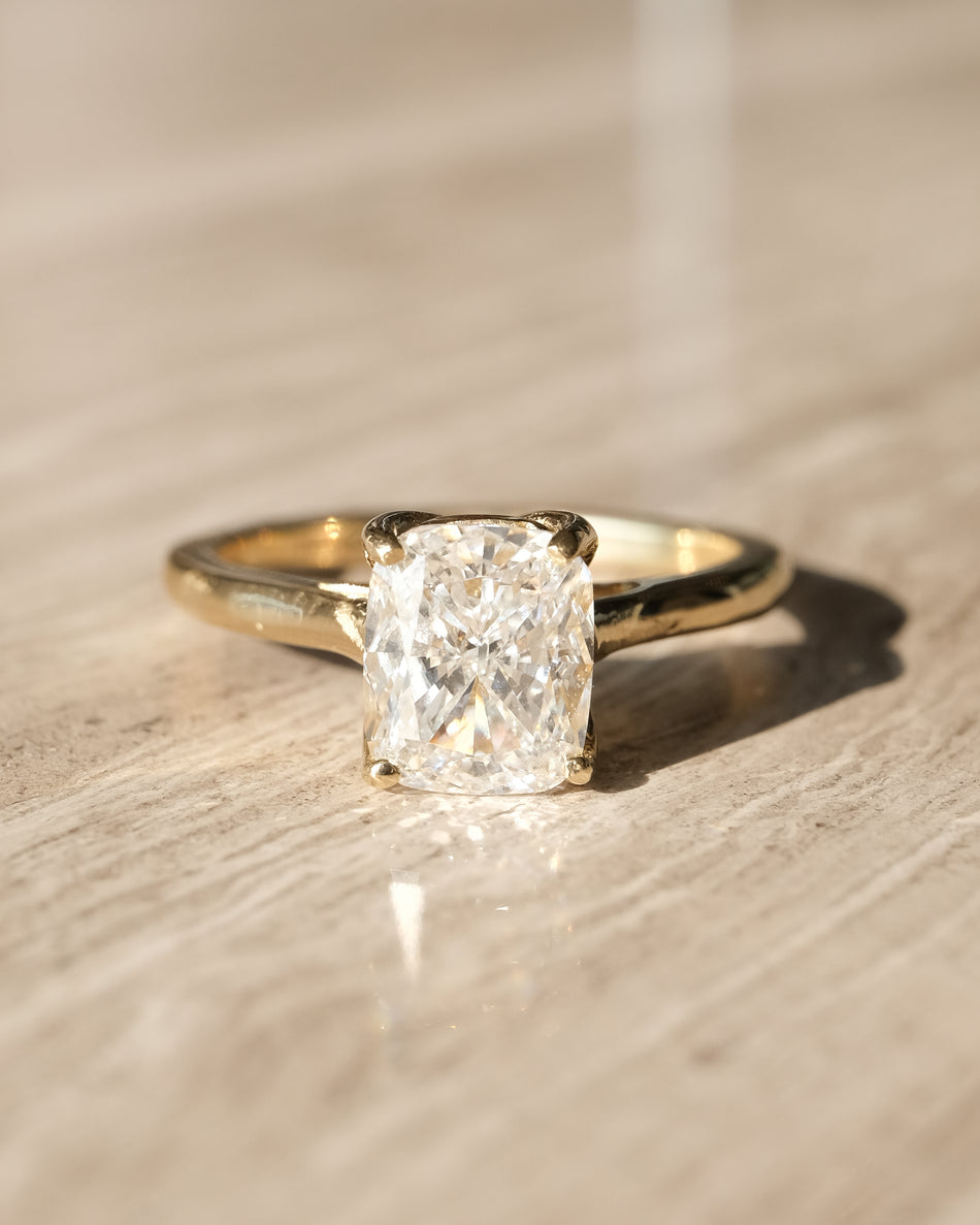 Anillo Alexa