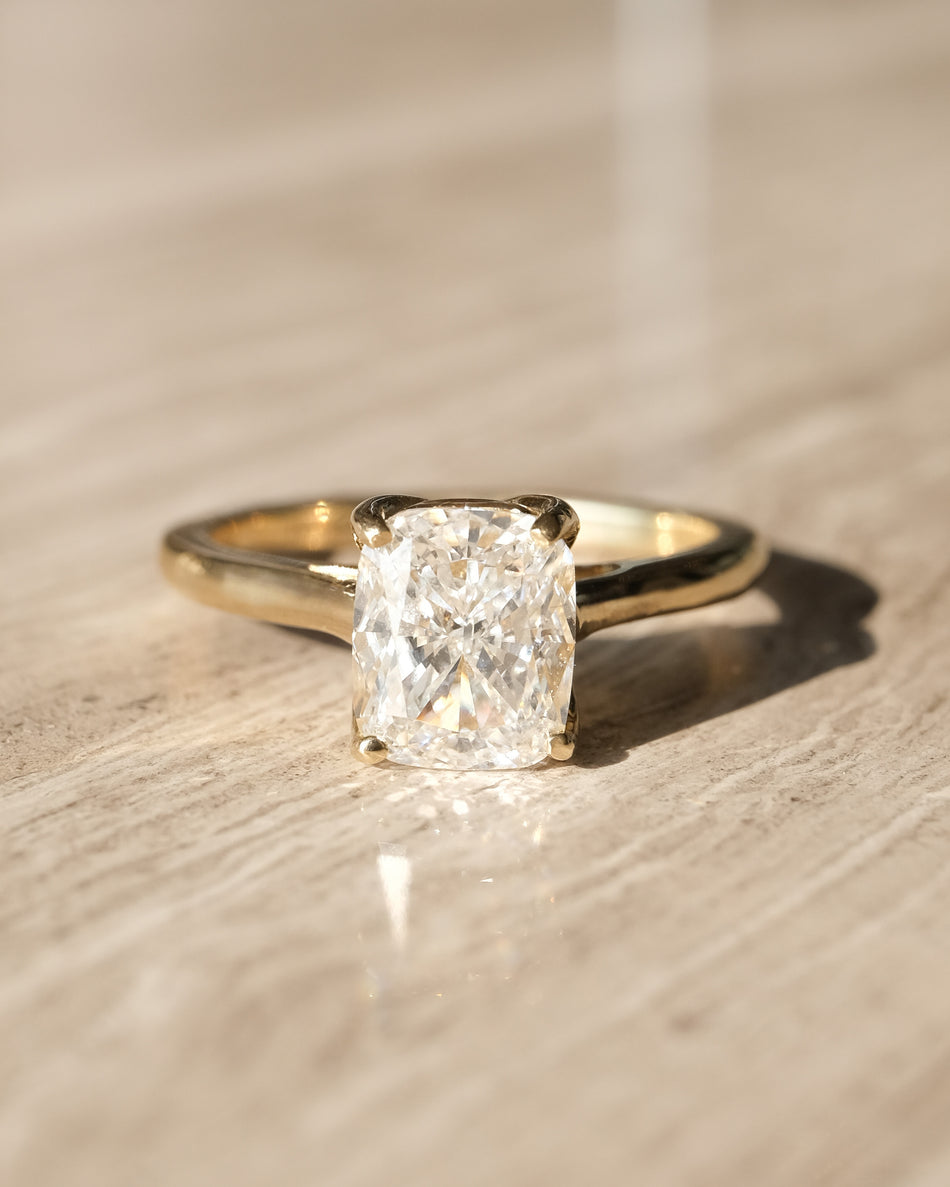 Anillo Alexa