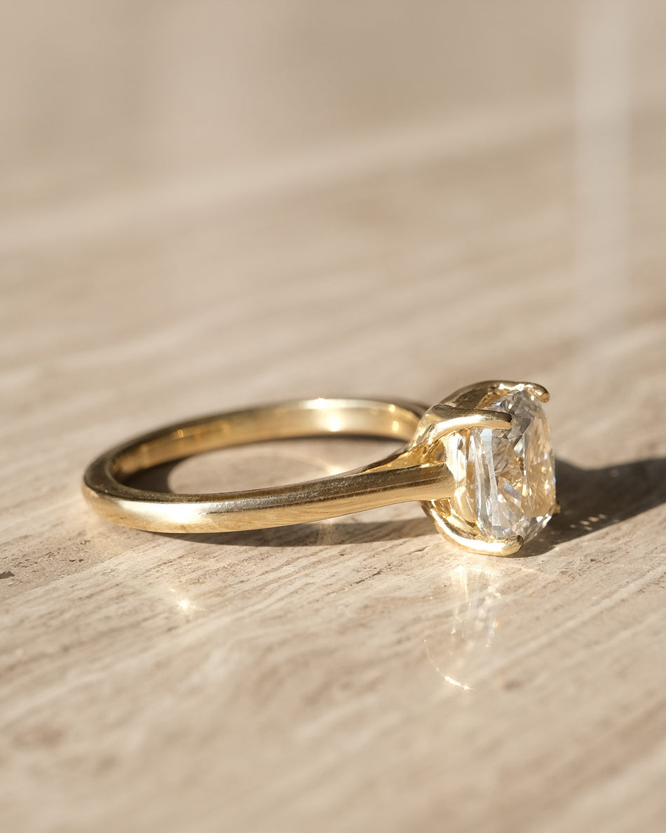 Anillo Alexa