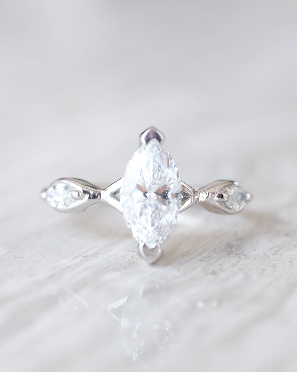 Anillo Aria