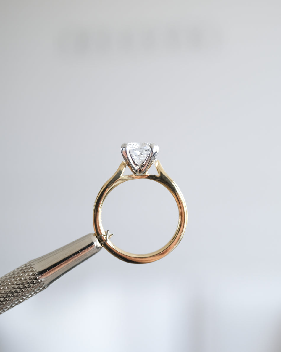 Anillo Briseida