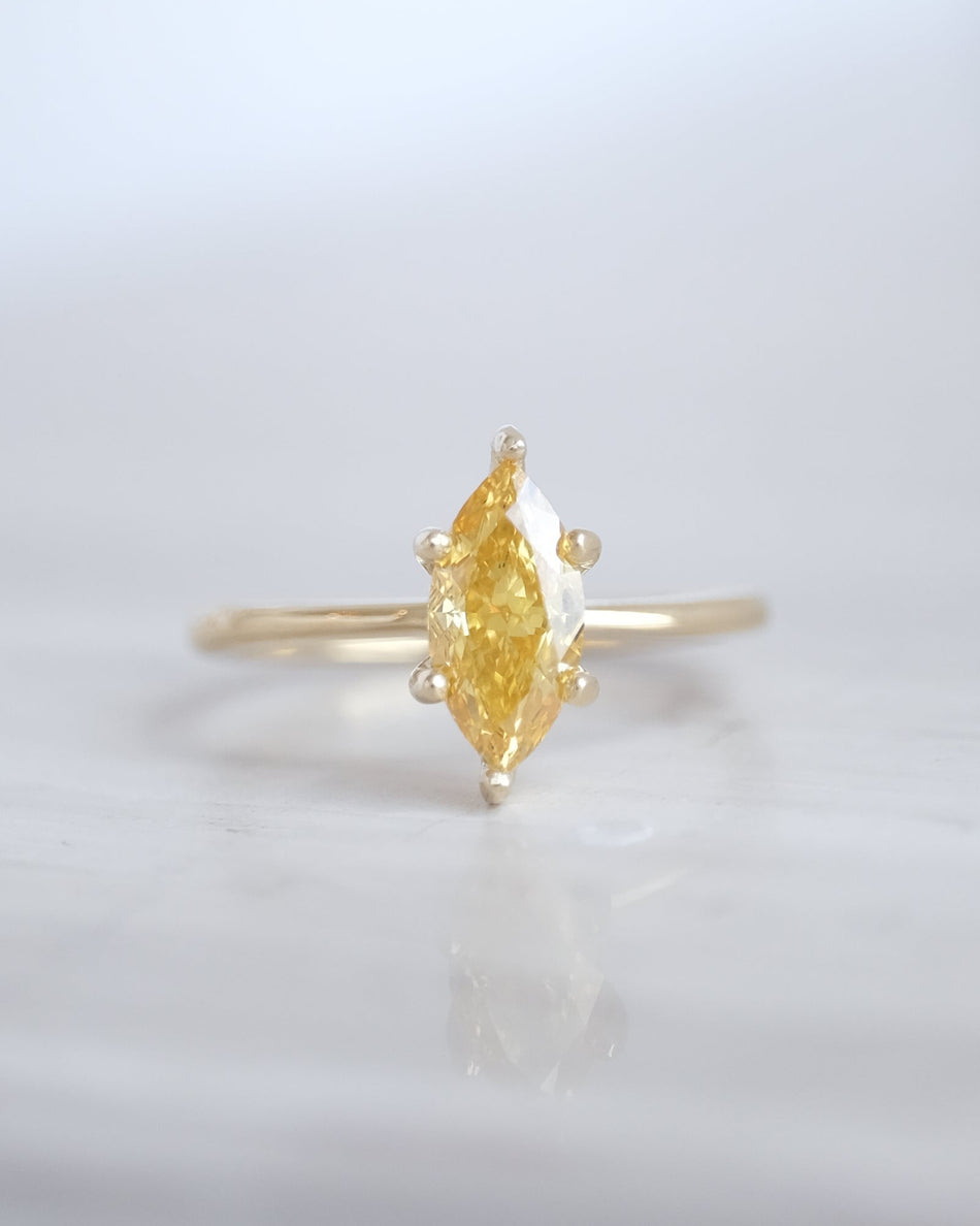 Anillo Fannie