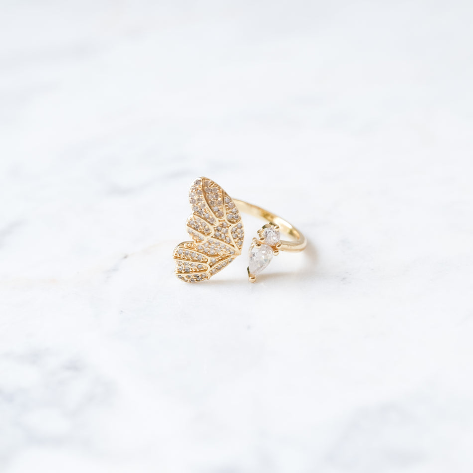 Anillo Nabi