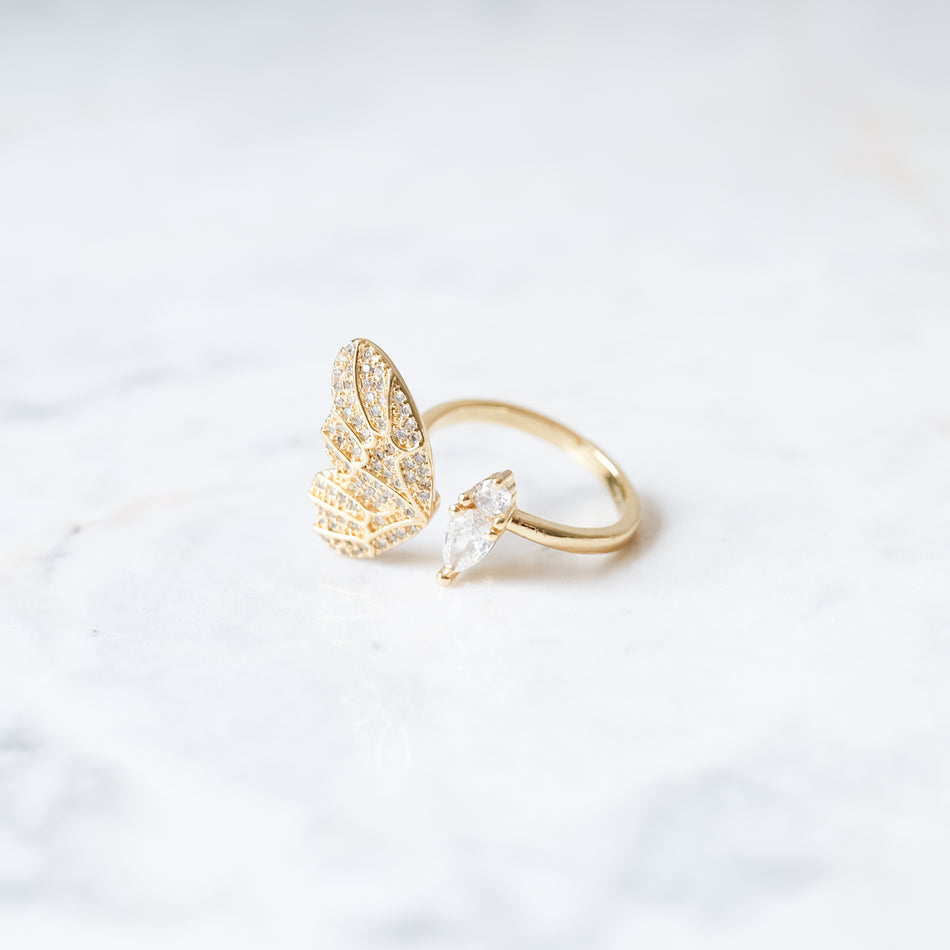 Anillo Nabi